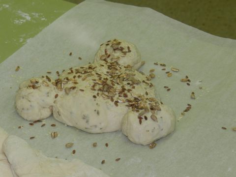 DSCN5790.JPG