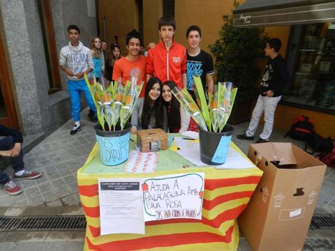 DSCN7132.jpg