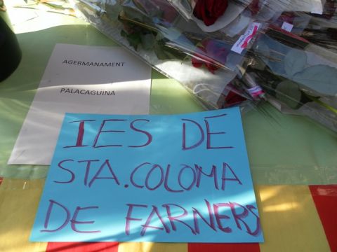 Venda de roses en benefici del Projecte de Palacagüina