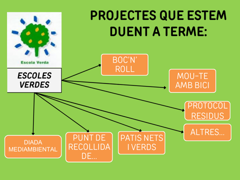 aaa-presentacio-escoles-verdes-inici-curs-2425--1-.pptx.png