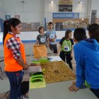 09f1b-DSC03620.JPG