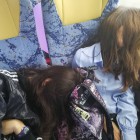 499c0-IMG_20170506_134753.jpg