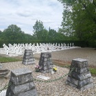 b584d-IMG_20190509_142842.jpg