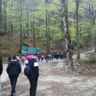 c5a33-IMG_20170405_160222.jpg