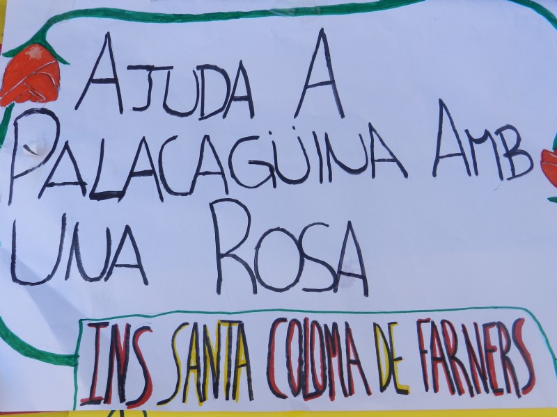 SANT JORDI