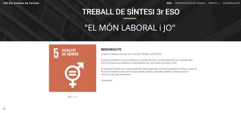 Millennium challenge i El món laboral i jo _Treball de síntesi  2020-2021