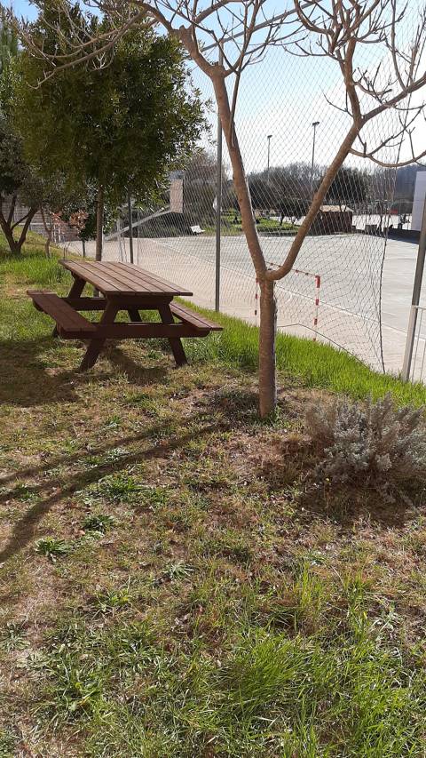 Afins_millores al pati