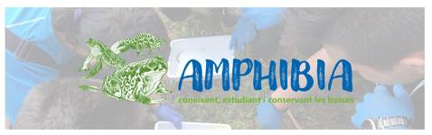 PARTICIPACIÓ AL PROJECTE AMPHIBIA 2020-2021