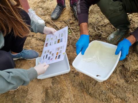 PARTICIPACIÓ AL PROJECTE AMPHIBIA 2020-2021