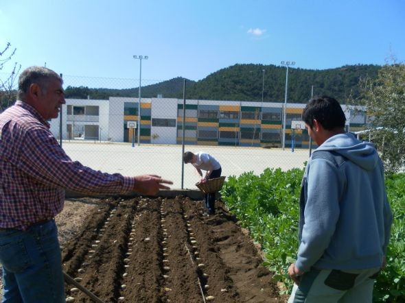 És temps de plantar patates!