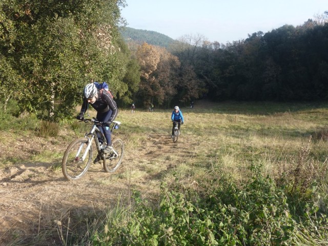 Velobici 2015: primers entrenaments