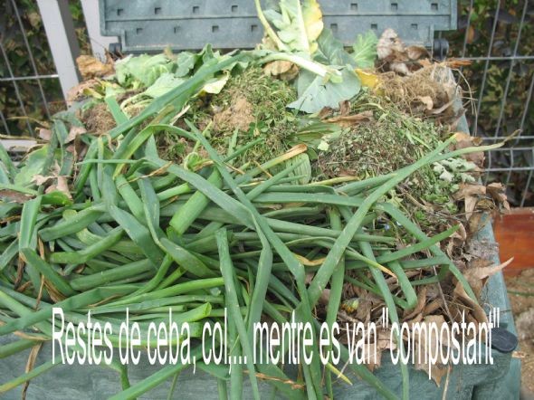 Els nostre hort
