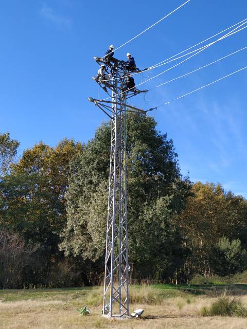 CF d'Electricitat: els alumnes ja s'enfilen als pals