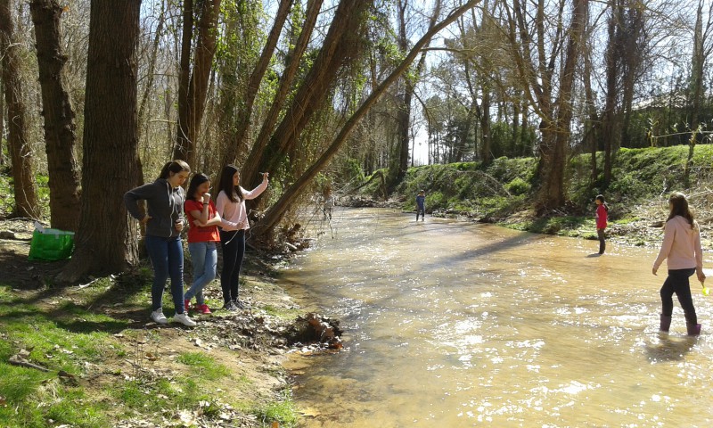 Jornada MEDI AMBIENT