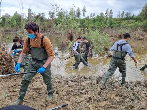 PARTICIPACIÓ AL PROJECTE AMPHIBIA 2020-2021