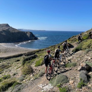 Velobici 24 _ Les cròniques de la jornada