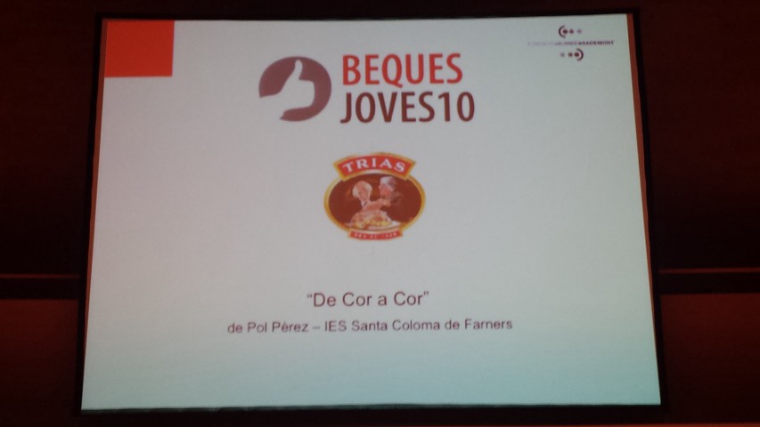 Beques Jaume Casademont 2015: 