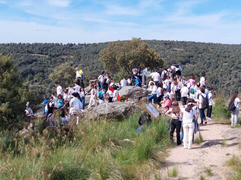 XV Olimpiada de Geologia  Zamora 2024