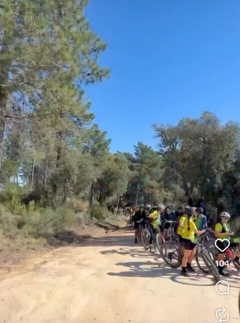 Velobici 26 - Menorca 