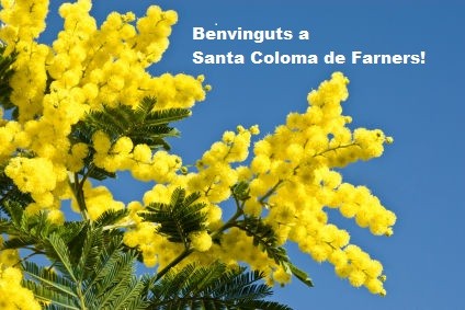 Benvinguda al professorat i alumnat de Menorca